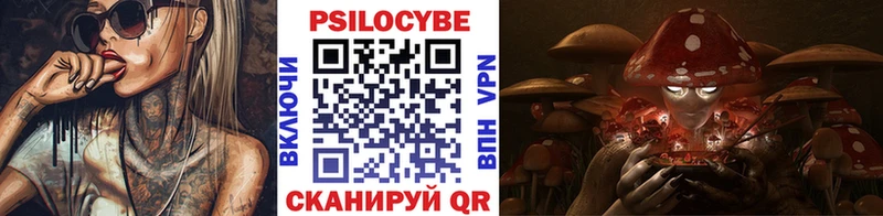 Галлюциногенные грибы Cubensis  Купить  Кудрово 